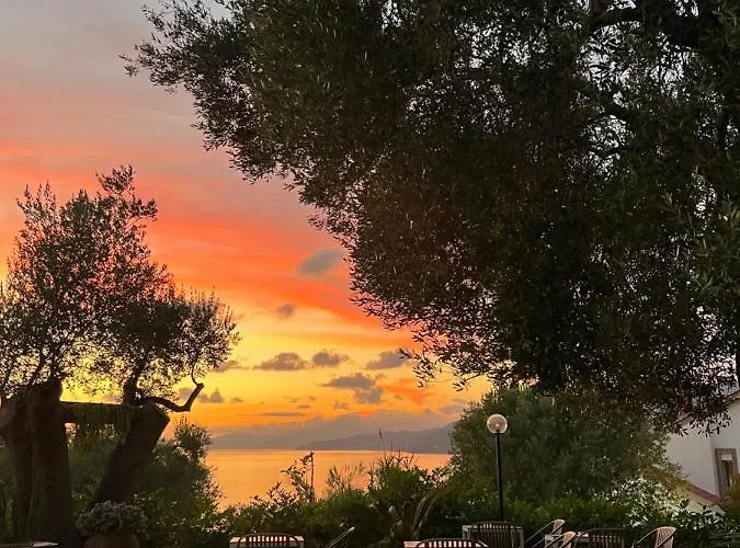 Bed and breakfast Jasmine